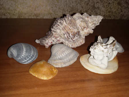 450x338  145 KB. Big one: 3264x2448  2525 KB