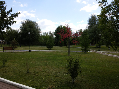 450x338  170 KB. Big one: 4160x3120  5999 KB