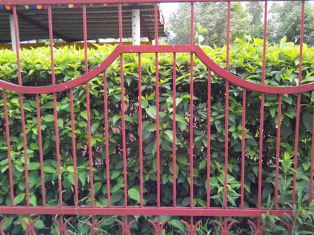 449x337  49 KB. Big one: 4160x3120  4328 KB