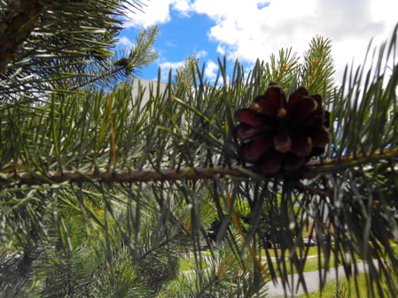 449x337  51 KB. Big one: 4160x3120  4278 KB