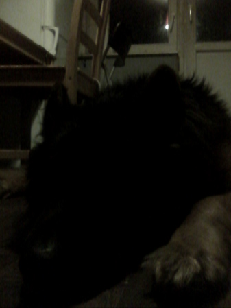 337x449  44 KB. Big one: 1920x2560  602 KB