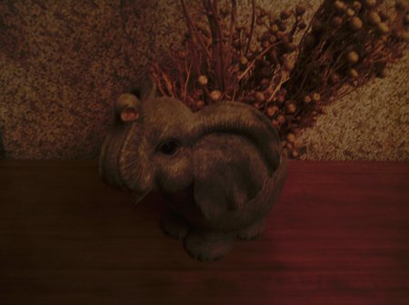 450x336  151 KB. Big one: 2592x1936  891 KB