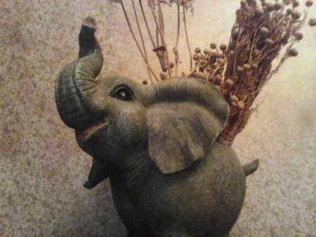 450x338  214 KB. Big one: 1600x1200  448 KB