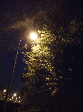 333x450  126 KB. Big one: 3120x4208  1519 KB