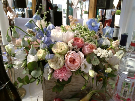 450x337  190 KB. Big one: 4608x3456  4698 KB