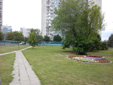 450x338  47 KB. Big one: 3264x2448  3501 KB