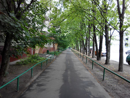 450x338  58 KB. Big one: 3264x2448  3964 KB