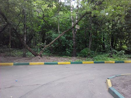 450x338  48 KB. Big one: 3264x2448  3941 KB