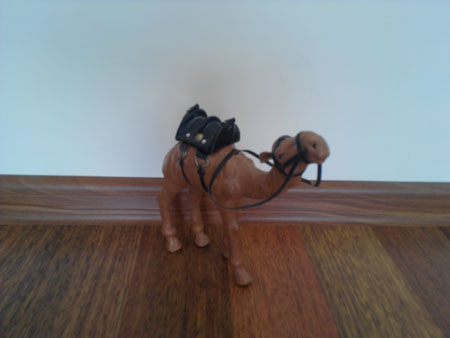 450x338  18 KB. Big one: 3264x2448  2350 KB