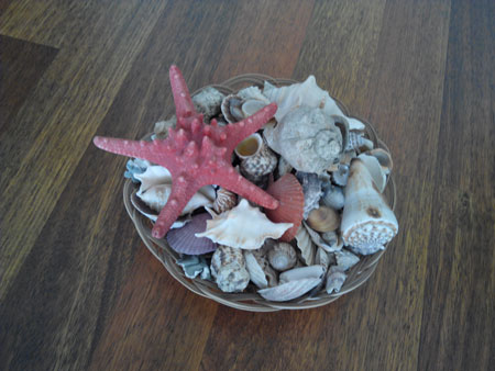 450x338  39 KB. Big one: 3264x2448  3096 KB