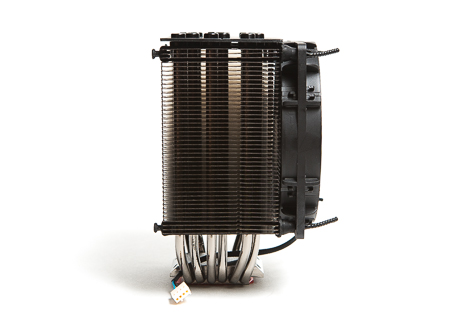 450x321  83 KB. Big one: 1500x1071  543 KB