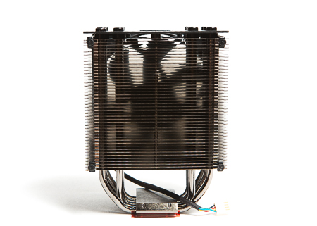 450x321  108 KB. Big one: 1500x1071  725 KB