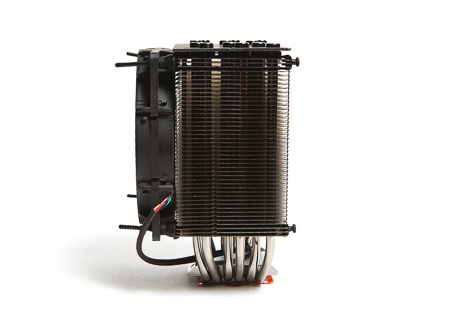 450x321  80 KB. Big one: 1500x1071  514 KB