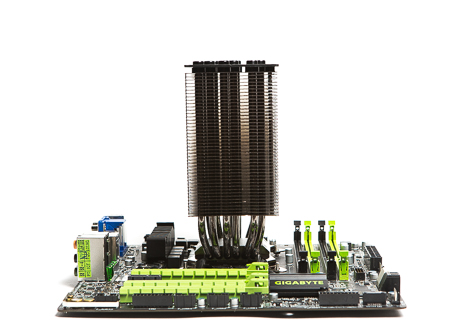 450x321  105 KB. Big one: 1500x1071  654 KB