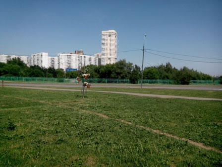 448x336  37 KB. Big one: 4096x3072  3607 KB