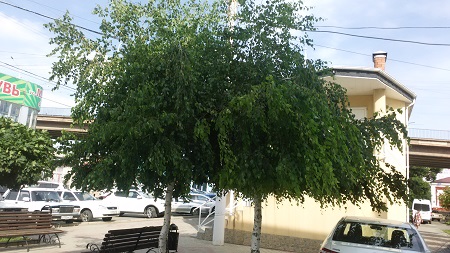 450x253  79 KB. Big one: 3264x1836  2110 KB