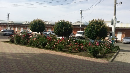 450x253  60 KB. Big one: 3264x1836  1775 KB