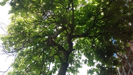 450x253  89 KB. Big one: 3264x1836  2281 KB