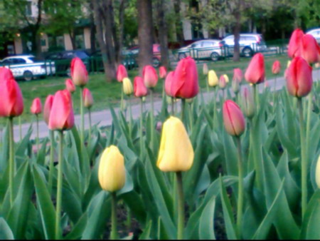 450x338  61 KB. Big one: 1024x768  210 KB