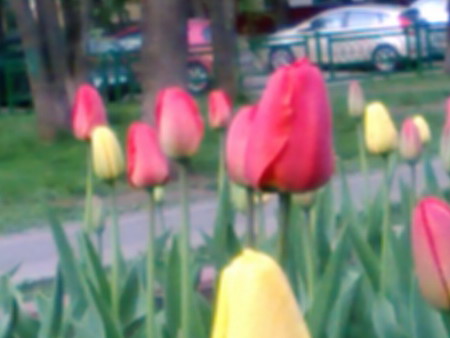 450x338  39 KB. Big one: 600x450  81 KB