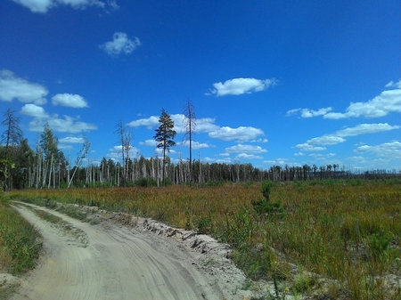 450x337  160 KB. Big one: 3264x2448  2198 KB