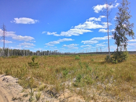 450x337  194 KB. Big one: 3264x2448  3014 KB