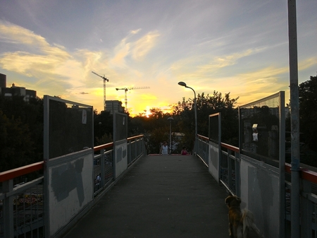 450x337  131 KB. Big one: 3264x2448  1401 KB