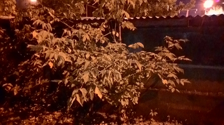 450x253  156 KB. Big one: 1600x900  387 KB