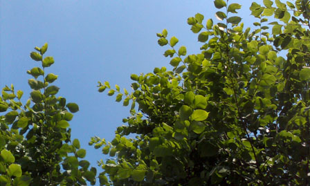 448x269  49 KB. Big one: 1600x960  725 KB