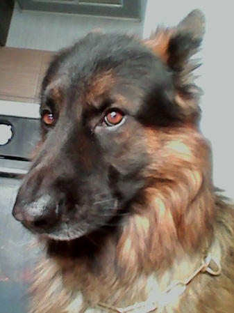 337x449  54 KB. Big one: 480x640  143 KB