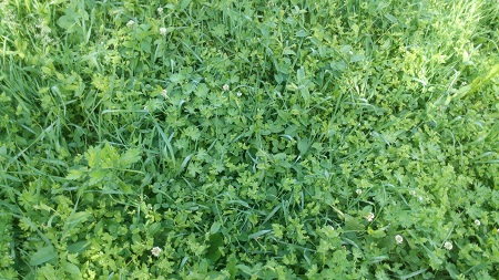 450x253  131 KB. Big one: 4096x2304  4246 KB