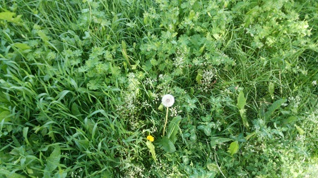 450x253  131 KB. Big one: 4096x2304  3917 KB