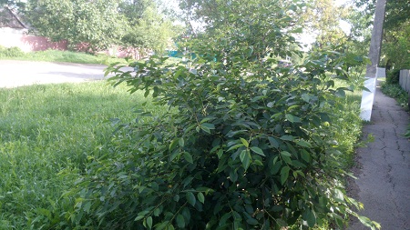 450x253  116 KB. Big one: 4096x2304  3998 KB