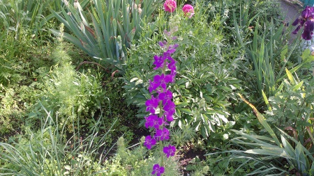 450x253  130 KB. Big one: 4096x2304  4496 KB