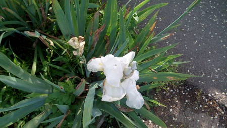 450x253  106 KB. Big one: 4096x2304  3408 KB