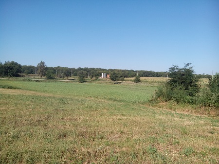 450x337  106 KB. Big one: 4096x3072  3543 KB