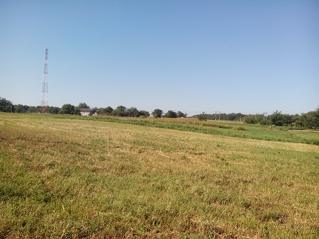 450x337  106 KB. Big one: 4096x3072  3589 KB