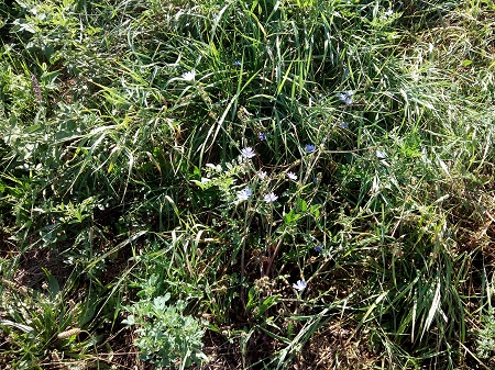 450x337  194 KB. Big one: 4096x3072  5812 KB