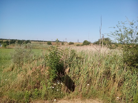 450x337  127 KB. Big one: 4096x3072  4381 KB