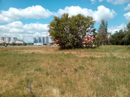 448x336  53 KB. Big one: 3264x2448  2090 KB