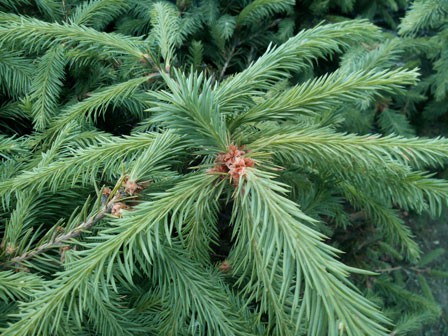 448x336  66 KB. Big one: 3264x2448  2016 KB