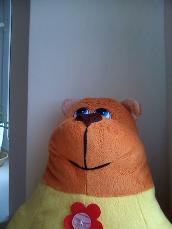 336x448  25 KB. Big one: 1200x1600  336 KB