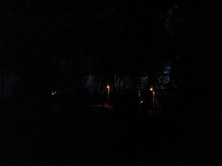 450x338  64 KB. Big one: 4160x3120  1557 KB