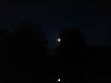 450x338  66 KB. Big one: 4160x3120  2177 KB