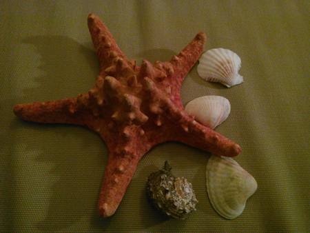 450x338  176 KB. Big one: 4160x3120  5317 KB