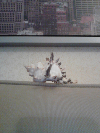 338x450  157 KB. Big one: 1536x2048  848 KB