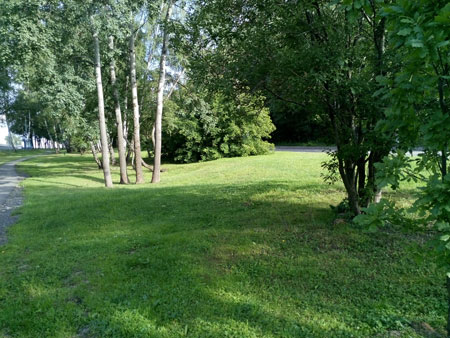 450x338  61 KB. Big one: 4160x3120  7167 KB