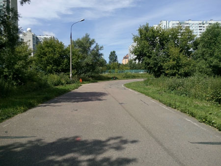 450x338  41 KB. Big one: 4160x3120  5338 KB