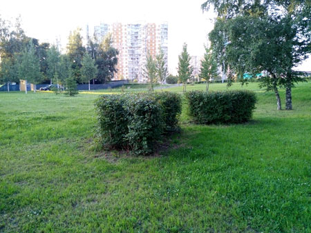 450x338  57 KB. Big one: 4160x3120  6775 KB