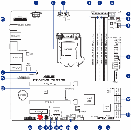 450x447  27 KB. Big one: 1442x1433  100 KB